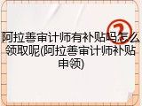 阿拉善审计师有补贴吗怎么领取呢(阿拉善审计师补贴申领)