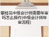 攀枝花中级会计师需要年审吗怎么操作(中级会计师年审流程)