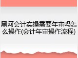 黑河会计实操需要年审吗怎么操作(会计年审操作流程)