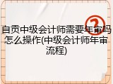 自贡中级会计师需要年审吗怎么操作(中级会计师年审流程)