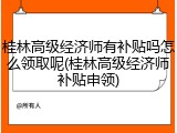 桂林高级经济师有补贴吗怎么领取呢(桂林高级经济师补贴申领)