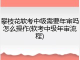 攀枝花软考中级需要年审吗怎么操作(软考中级年审流程)