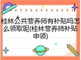 桂林公共营养师有补贴吗怎么领取呢(桂林营养师补贴申领)