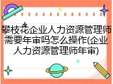攀枝花企业人力资源管理师需要年审吗怎么操作(企业人力资源管理师年审)