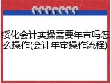 绥化会计实操需要年审吗怎么操作(会计年审操作流程)