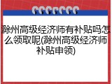 滁州高级经济师有补贴吗怎么领取呢(滁州高级经济师补贴申领)