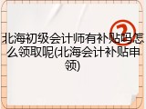 北海初级会计师有补贴吗怎么领取呢(北海会计补贴申领)
