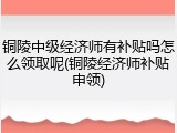 铜陵中级经济师有补贴吗怎么领取呢(铜陵经济师补贴申领)