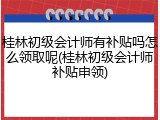 桂林初级会计师有补贴吗怎么领取呢(桂林初级会计师补贴申领)