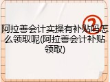 阿拉善会计实操有补贴吗怎么领取呢(阿拉善会计补贴领取)