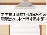 安庆审计师有补贴吗怎么领取呢(安庆审计师补贴申领)