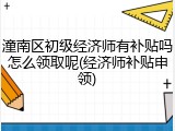 潼南区初级经济师有补贴吗怎么领取呢(经济师补贴申领)