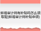 蚌埠审计师有补贴吗怎么领取呢(蚌埠审计师补贴申领)