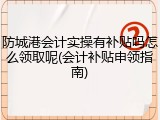 防城港会计实操有补贴吗怎么领取呢(会计补贴申领指南)