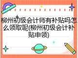 柳州初级会计师有补贴吗怎么领取呢(柳州初级会计补贴申领)