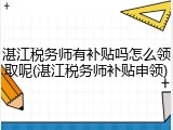 湛江税务师有补贴吗怎么领取呢(湛江税务师补贴申领)
