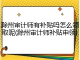 滁州审计师有补贴吗怎么领取呢(滁州审计师补贴申领)