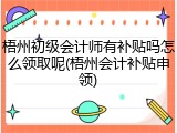 梧州初级会计师有补贴吗怎么领取呢(梧州会计补贴申领)