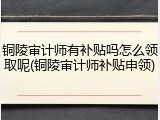 铜陵审计师有补贴吗怎么领取呢(铜陵审计师补贴申领)