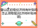 璧山区初级经济师有补贴吗怎么领取呢(经济师补贴申领)