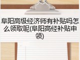 阜阳高级经济师有补贴吗怎么领取呢(阜阳高经补贴申领)