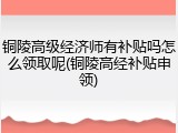 铜陵高级经济师有补贴吗怎么领取呢(铜陵高经补贴申领)