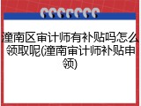 潼南区审计师有补贴吗怎么领取呢(潼南审计师补贴申领)