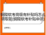 铜陵软考高级有补贴吗怎么领取呢(铜陵软考补贴申领)