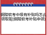 铜陵软考中级有补贴吗怎么领取呢(铜陵软考补贴申领)
