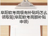 阜阳软考高级有补贴吗怎么领取呢(阜阳软考高额补贴申领)
