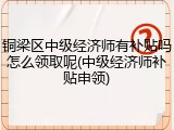 铜梁区中级经济师有补贴吗怎么领取呢(中级经济师补贴申领)