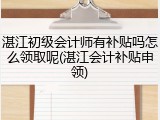 湛江初级会计师有补贴吗怎么领取呢(湛江会计补贴申领)
