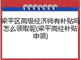 梁平区高级经济师有补贴吗怎么领取呢(梁平高经补贴申领)