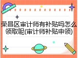 荣昌区审计师有补贴吗怎么领取呢(审计师补贴申领)