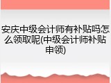 安庆中级会计师有补贴吗怎么领取呢(中级会计师补贴申领)