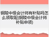 铜陵中级会计师有补贴吗怎么领取呢(铜陵中级会计师补贴申领)