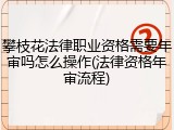 攀枝花法律职业资格需要年审吗怎么操作(法律资格年审流程)