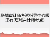 塔城审计师考试指导中心哪里有(塔城审计师考点)