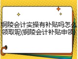 铜陵会计实操有补贴吗怎么领取呢(铜陵会计补贴申领)