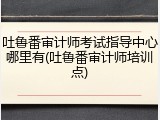 吐鲁番审计师考试指导中心哪里有(吐鲁番审计师培训点)