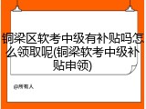 铜梁区软考中级有补贴吗怎么领取呢(铜梁软考中级补贴申领)