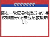 德宏一级应急救援员培训学校哪里好(德宏应急救援培训)