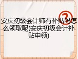 安庆初级会计师有补贴吗怎么领取呢(安庆初级会计补贴申领)