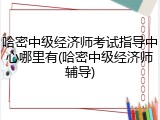 哈密中级经济师考试指导中心哪里有(哈密中级经济师辅导)