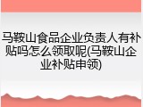 马鞍山食品企业负责人有补贴吗怎么领取呢(马鞍山企业补贴申领)