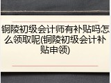 铜陵初级会计师有补贴吗怎么领取呢(铜陵初级会计补贴申领)