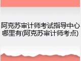 阿克苏审计师考试指导中心哪里有(阿克苏审计师考点)