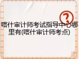 喀什审计师考试指导中心哪里有(喀什审计师考点)