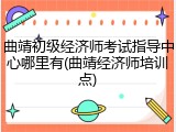 曲靖初级经济师考试指导中心哪里有(曲靖经济师培训点)