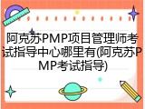 阿克苏PMP项目管理师考试指导中心哪里有(阿克苏PMP考试指导)